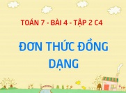 Đơn thức đồng dạng là gì? Cách cộng trừ các đơn thức đồng dạng - Toán 7 bài 4 tập 2 chương 4